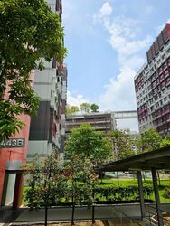 Blk 443B West Ridges @ Bukit Batok (Bukit Batok), HDB 4 Rooms #606469281